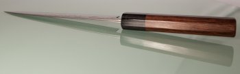 Sakon Koyanagi 165mm