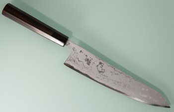 Tokaji Wa-Gyuto 240mm Aogami 1