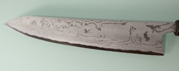 Tokaji Wa-Gyuto 240mm Aogami 1