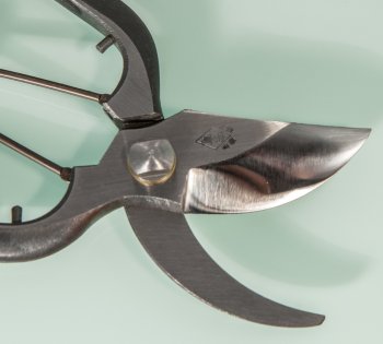 japanische Gartenschere