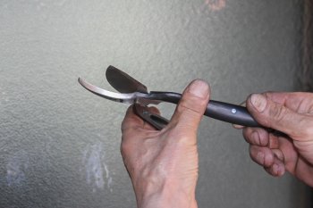 japanische Gartenschere