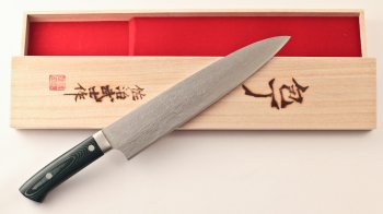 Takeshi Saji Gyuto 240mm polish green Micarta