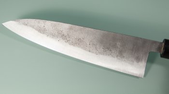 Fujiwara Teruyasu Nashiji Wa-Gyuto 210mm Rosewood