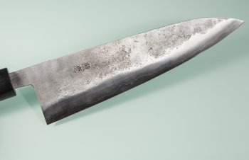 Fujiwara Teruyasu Nashiji Wa-Gyuto 210mm Rosewood