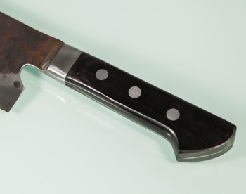 Fujiwara Teruyasu Denka Gyuto 310mm