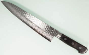 Damascus 17 Hammered Gyuto 240mm black