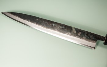 Zakuri Wa-Sujihiki 275mm RO