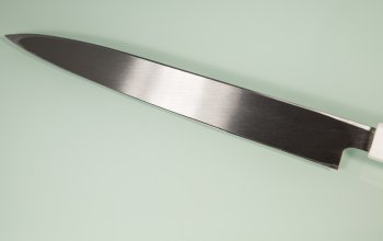 Aoki Ginryu Sashimi 270mm Honyaki