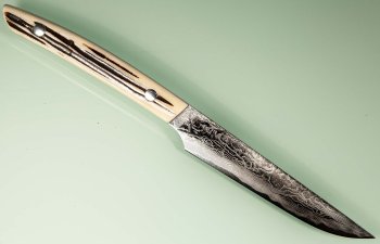 Takeshi Saji R2 Diamond Damascus Steak 125mm Bone