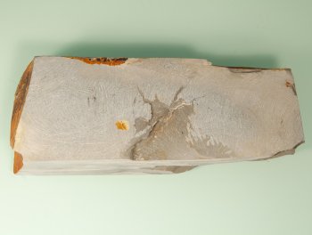 Wakasa 209x65-82x27mm ca. 8000-10000 Krnung