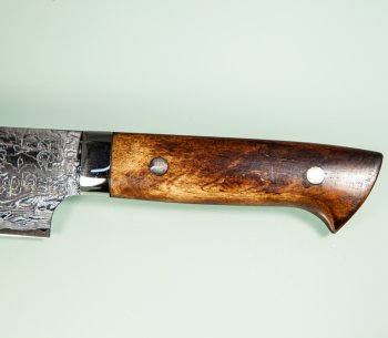 Takeshi Saji R2 Diamond Damascus Sakimaru 250mm Horn
