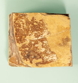 Nakayama Koppa 85x74x26mm 375 Gramm