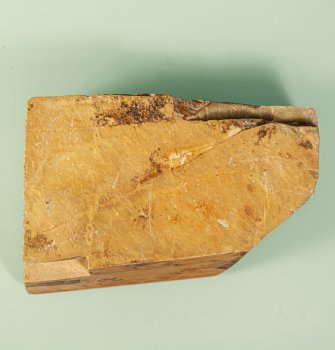 Nakayama Koppa 102x58x27mm 346 Gramm