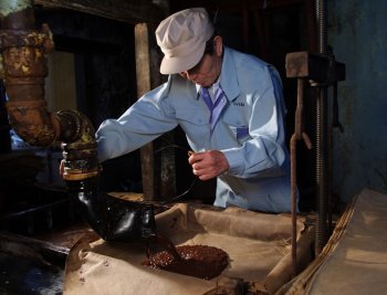 Austern Sojasauce 300ml **frisch eingetroffen**