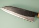 Kouki Kurouchi Aogami 2 Wa-Santoku 165mm