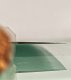 Hatsukokoro Ryuhyo Migaki SG2 Damascus Wa-Gyuto 215mm Olive